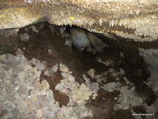 otta Petralia-17-03-2013 10-40-44